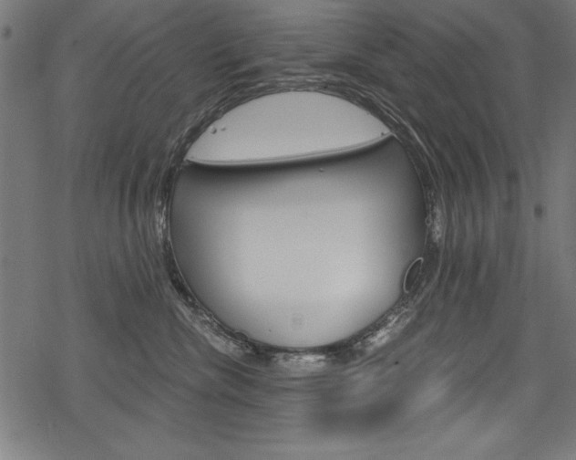 X0000078300476200611031022