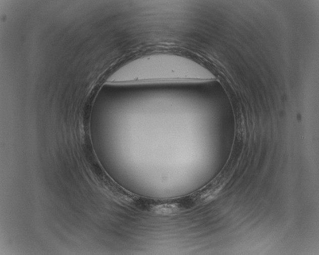 X0000078300508200611031020