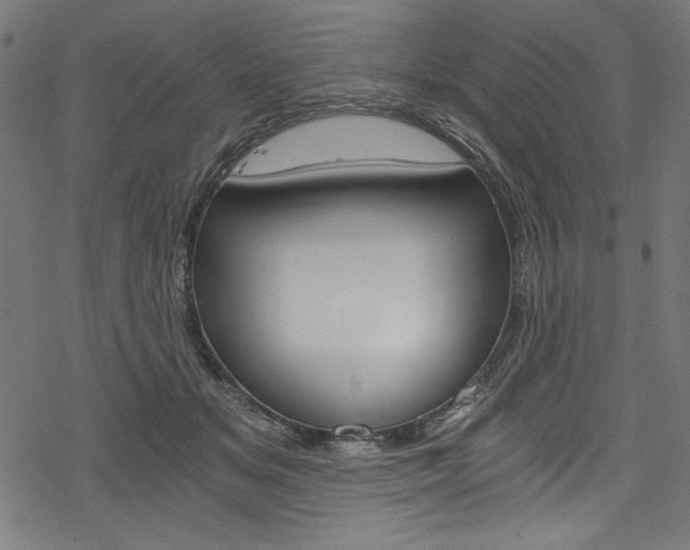 X0000078300509200611031020