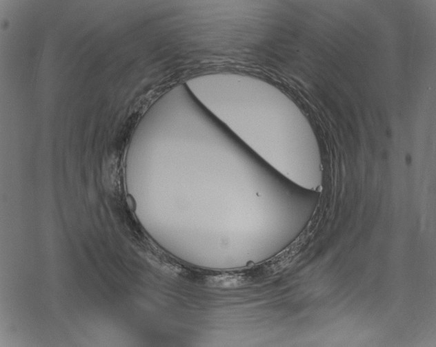 X0000078300511200611031020
