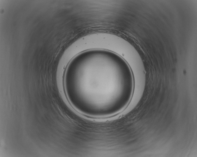 X0000078300512200611031020
