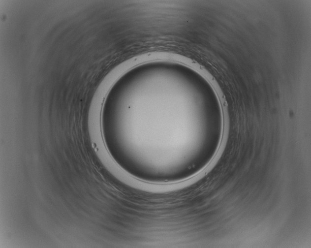 X0000078300514200611031020