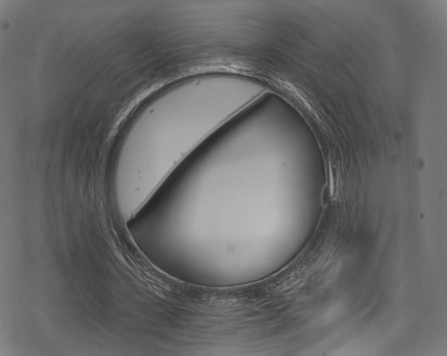 X0000078300531200611031019