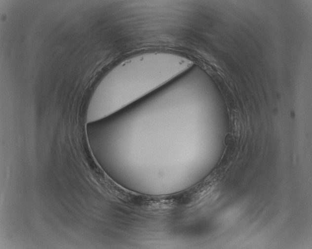 X0000078300550200611031020