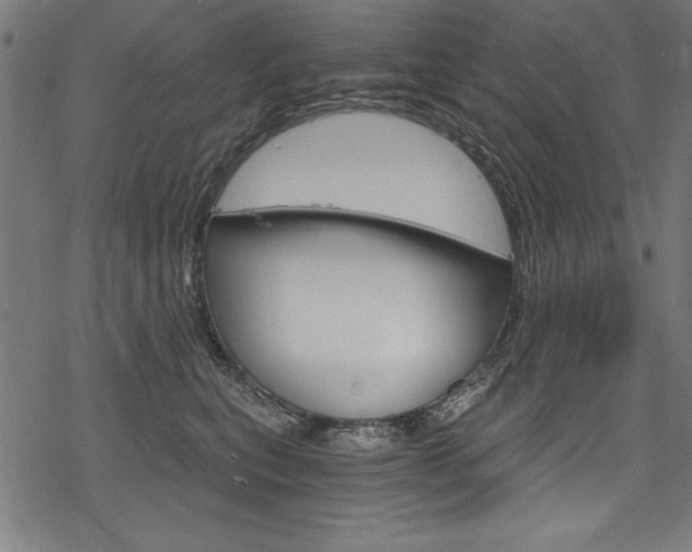 X0000078300567200611031020