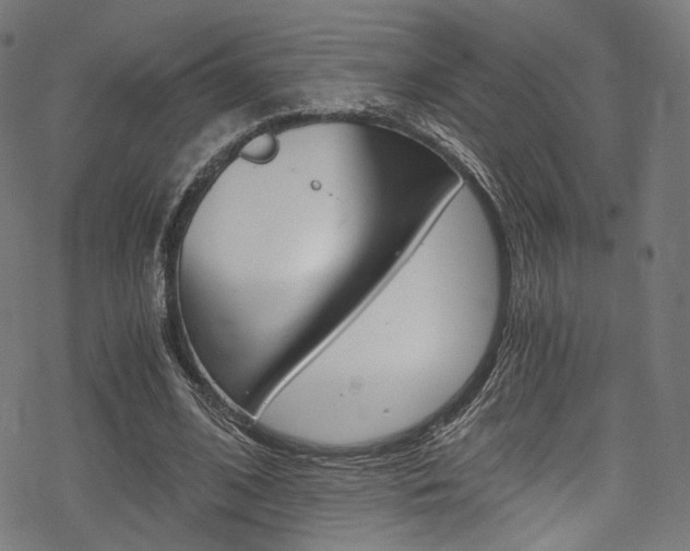 X0000078300584200611031019