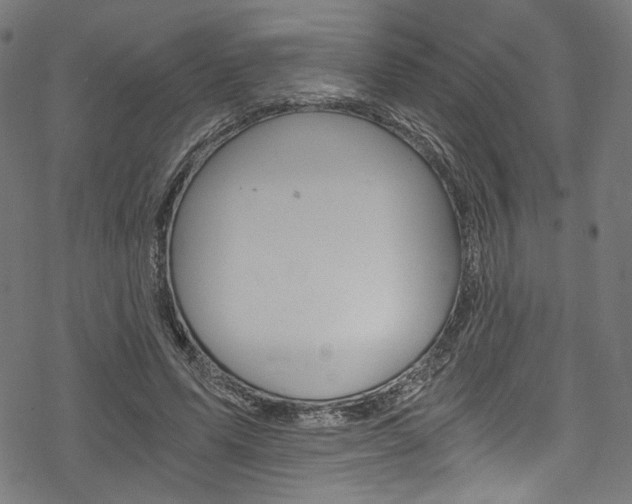 X0000078300591200611031019