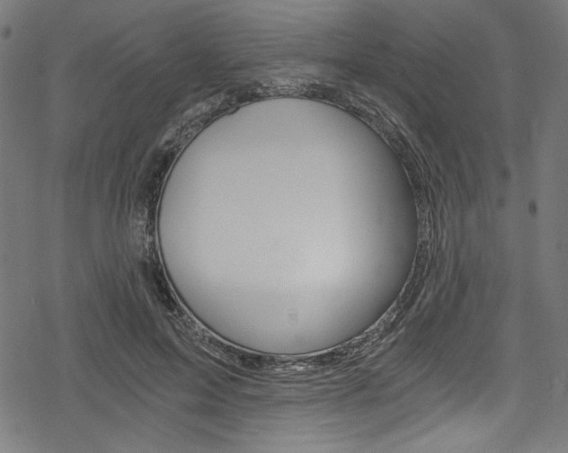 X0000078300599200611031019