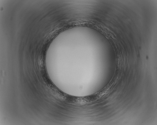 X0000078300608200611031019