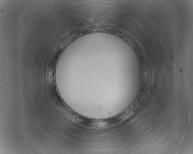 X0000078300610200611031019