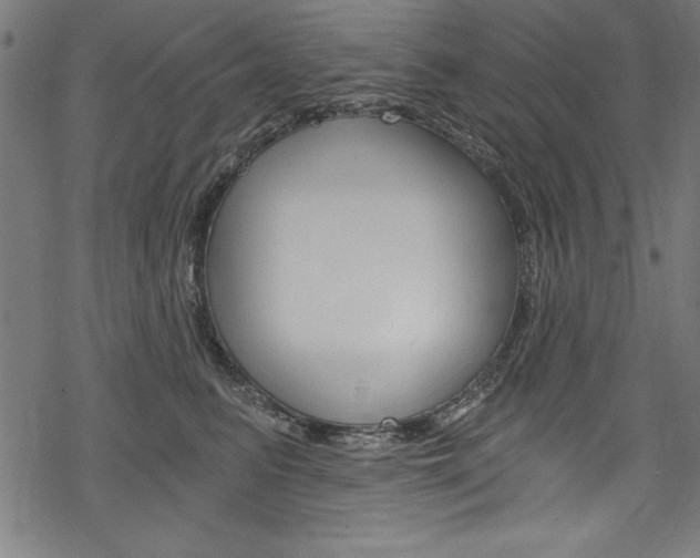 X0000078300615200611031019