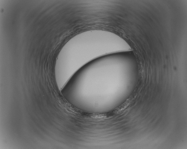 X0000078300619200611031019