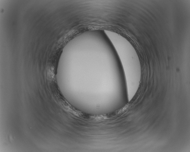 X0000078300621200611031019
