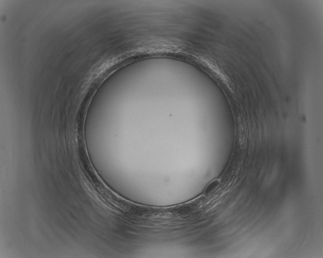 X0000078300631200611031018