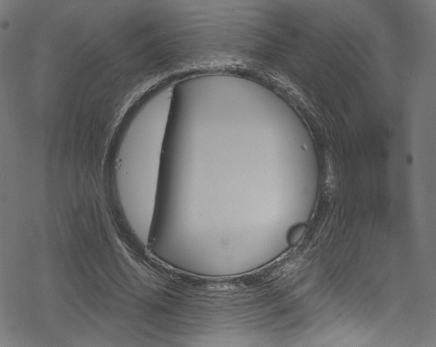 X0000078300636200611031018