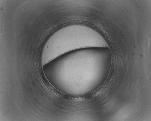 X0000078300645200611031018