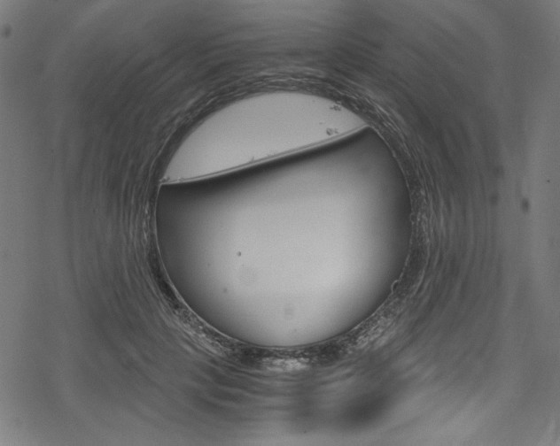 X0000078300649200611031018