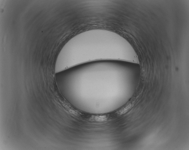 X0000078300665200611031018