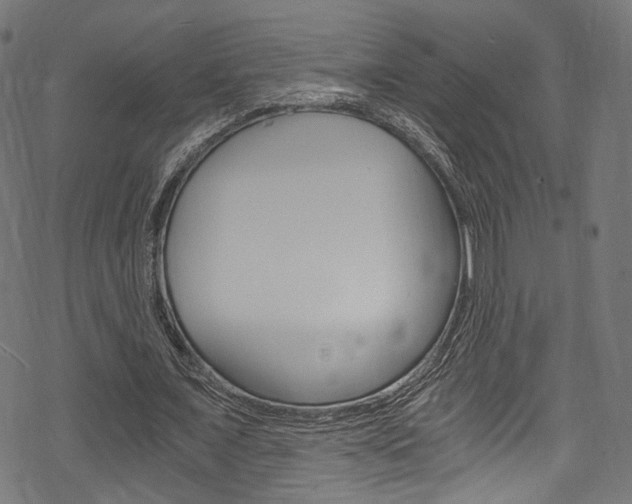 X0000078300675200611031018