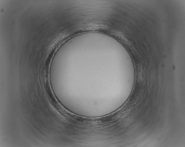 X0000078300683200611031018