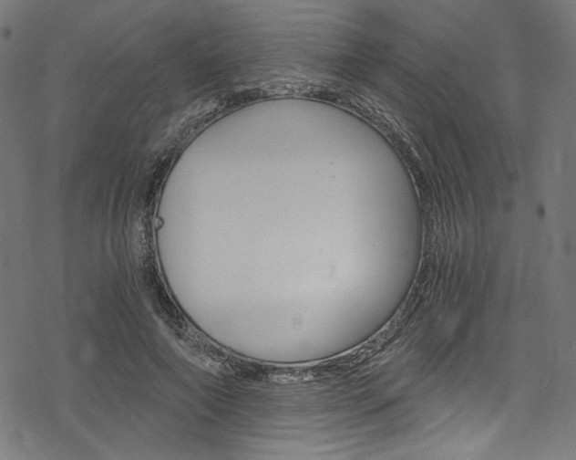 X0000078300690200611031017