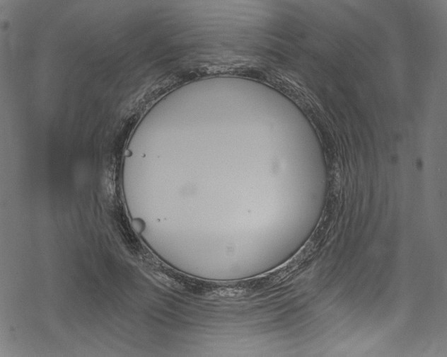 X0000078300691200611031017