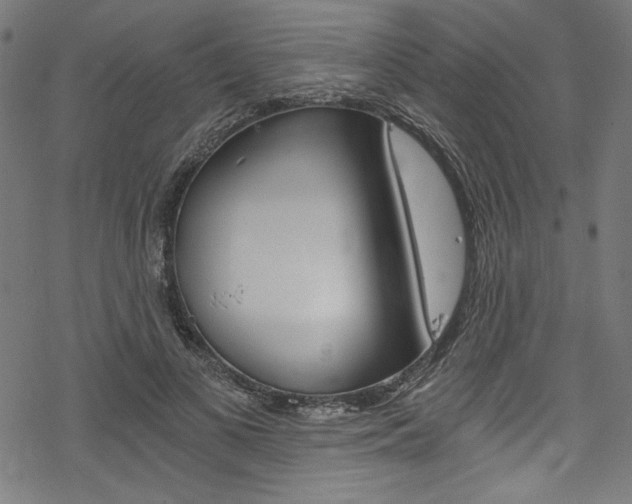 X0000078300693200611031017