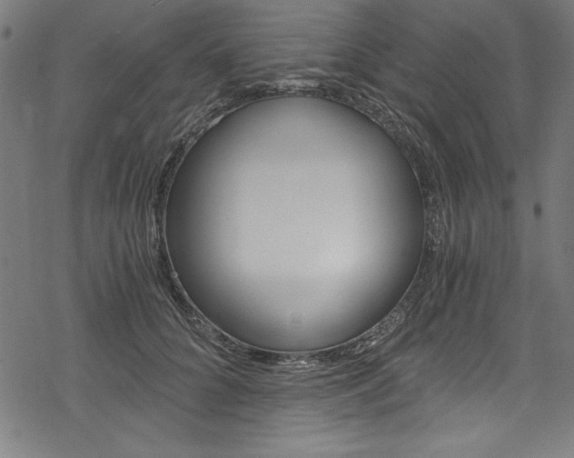 X0000078300704200611031017