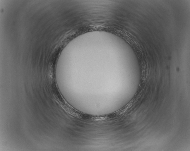 X0000078300710200611031017