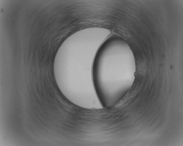 X0000078300719200611031017