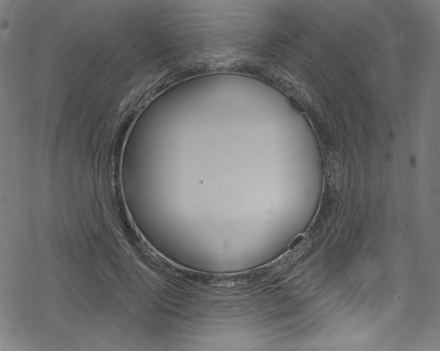 X0000078300740200611031016