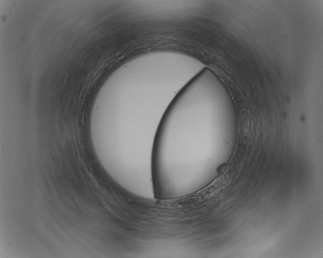 X0000078300743200611031017