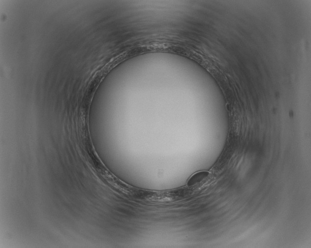 X0000078300747200611031017