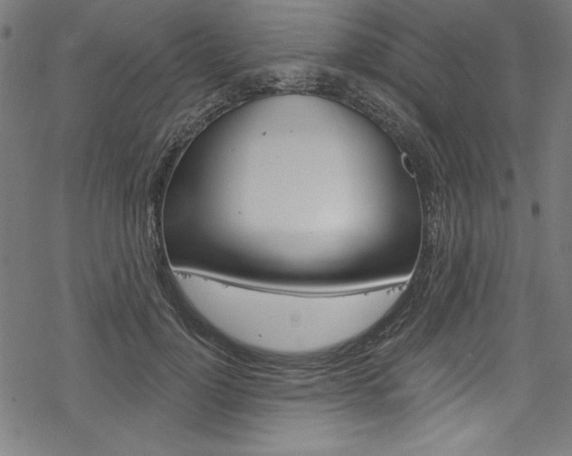 X0000078300748200611031017