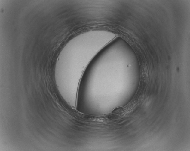 X0000078300751200611031017