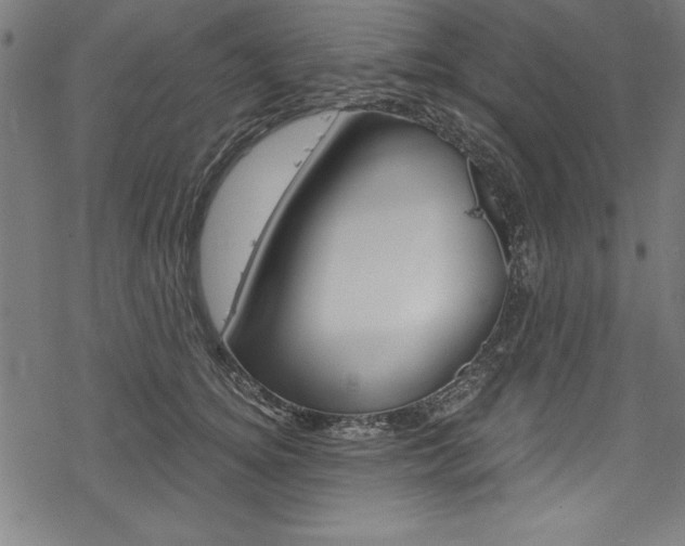 X0000078300756200611031017