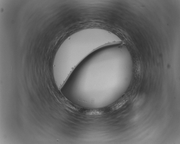 X0000078300759200611031017