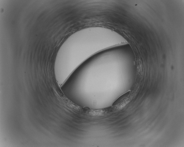 X0000078300767200611031017