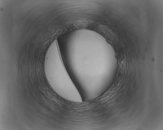 X0000078300772200611031016