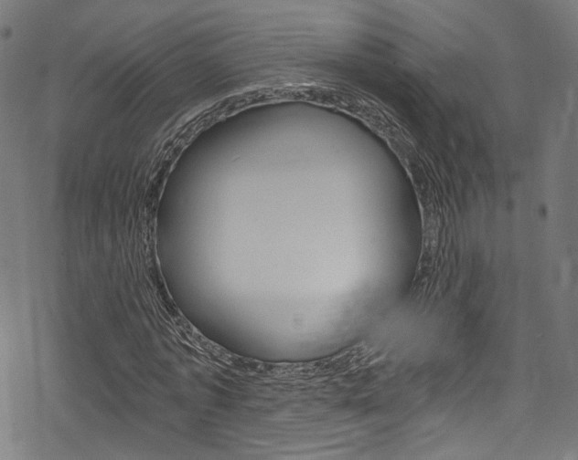 X0000078300773200611031016
