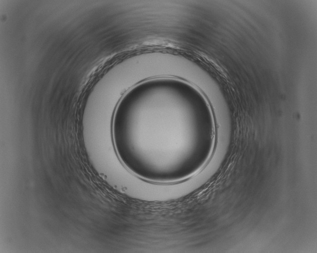 X0000078300776200611031016