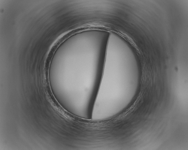 X0000078300784200611031016