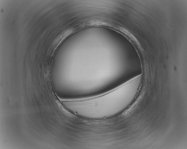 X0000078300801200611031016