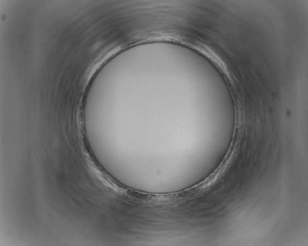 X0000078300806200611031016