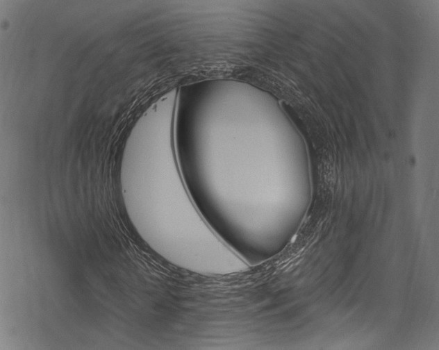 X0000078300818200611031015