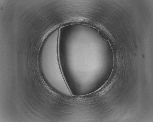 X0000078300834200611031015