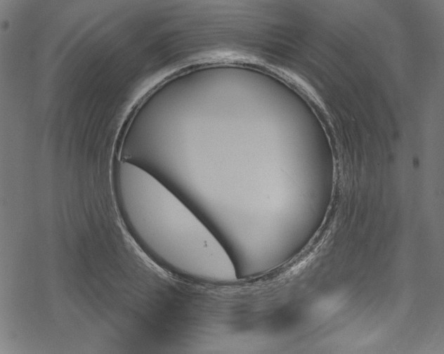 X0000078300839200611031015