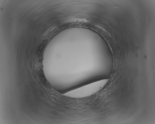 X0000078300869200611031015