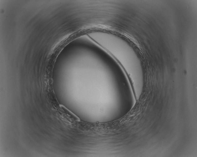 X0000078300872200611031014