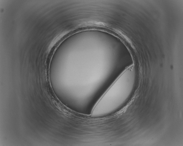 X0000078300877200611031014